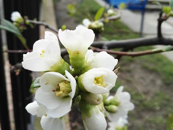 假如我有3天時間-我愿意留住企業宣傳片制作最美的瞬間