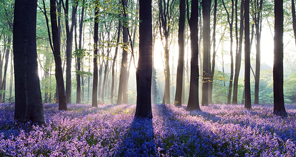 常見的房地產3D動畫制作案例有哪些？