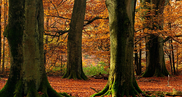我們最為熟知的企業宣傳片制作流程是什么呢？